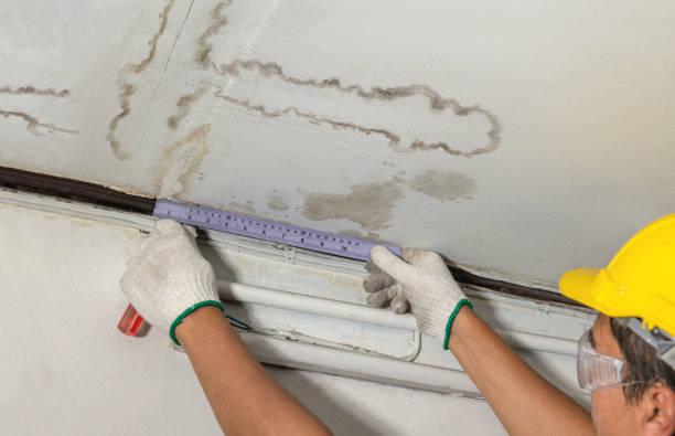Reliable Sewage Cleanup contractor in Mount Olive, NC by Water Damage Irwin